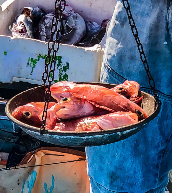 «Bubbessa», zuppa di pesce a Ischia Ponte. La vera storia