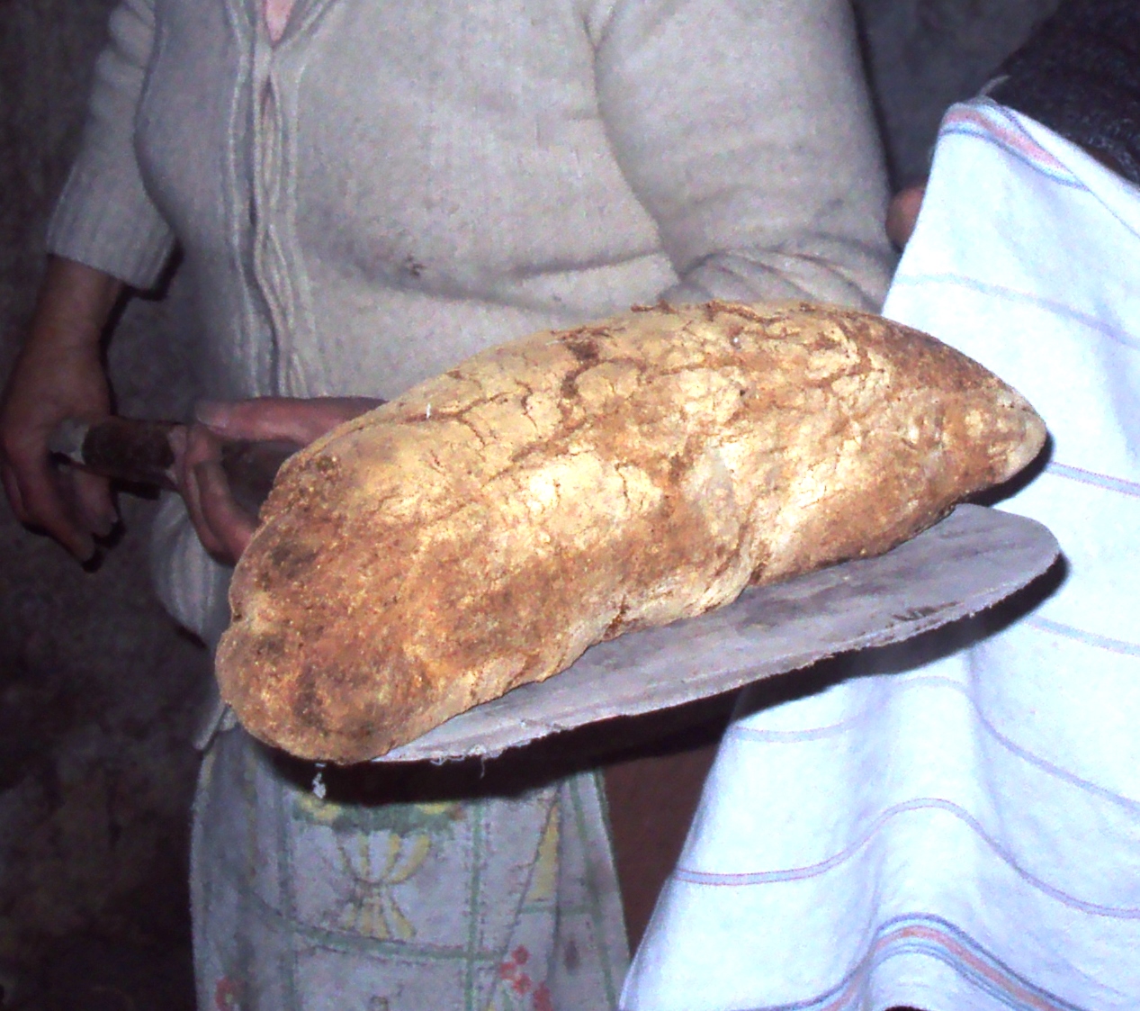 Il pane (e la madre) della vita