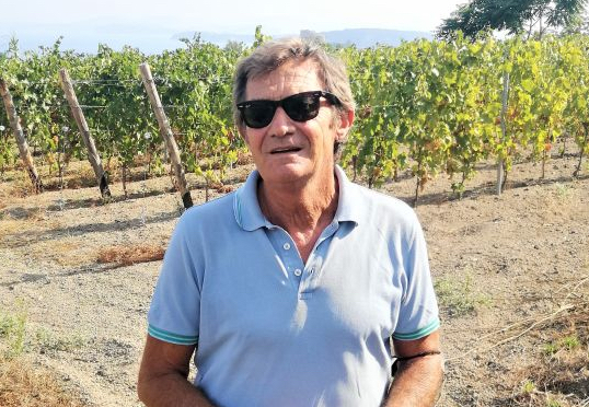 Andrea D’Ambra e le vendemmie della felicità