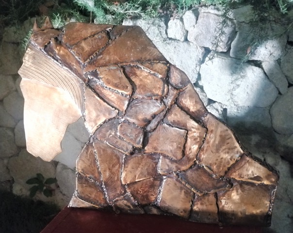 FOTO 5