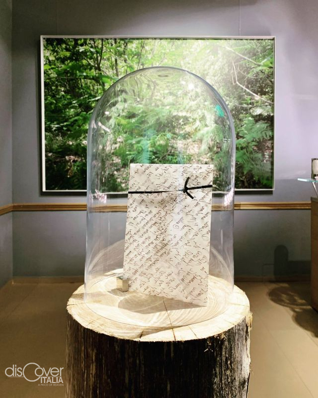 «Folium», un gelato e la bellezza trasparente della Natura